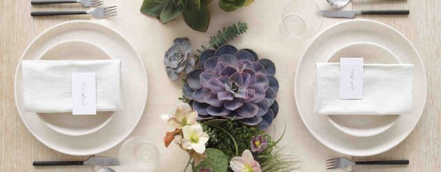 Succulent Wedding Decorations The Ultimate Resource For Your Succulent Wedding Succulents And