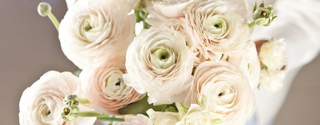 Flower For Wedding The 15 Most Popular Wedding Flowers In 2019 Shutterfly